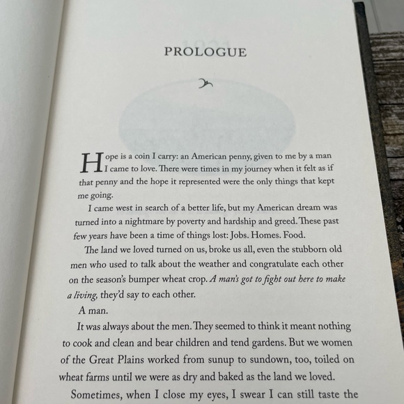 Novel Book The Four Winds Kristin Hannah Hardcover Great Depression Fiction - Picture 7 of 9